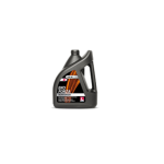 ECO OIL FORZA MONOGRADE 40 CONTAINER 4LT